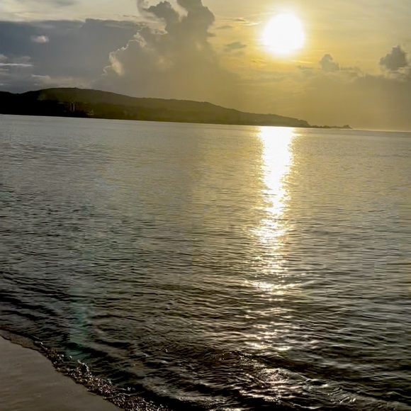 Meet your Posher, Sharee - Picture 1 of 1